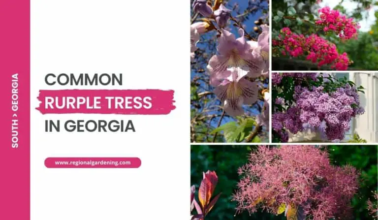 Stunning Purple Trees In Georgia (7 Stunning Varieties)